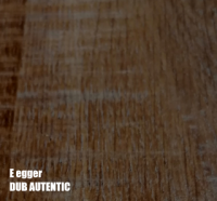 dub autentic