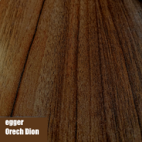 orech dion